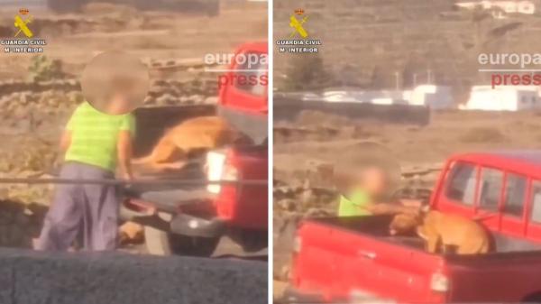 Detenido en Lanzarote un hombre que fue grabado golpeando a su perro: estas son las penas a las que se enfrenta