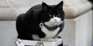 Adiós a Palmerston, el gato que hizo historia en el Ministerio de Asuntos Exteriores británico