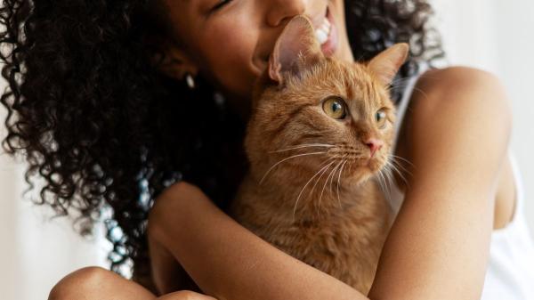 Ni Cataluña ni Madrid: la comunidad española que más quiere a sus gatos, según un estudio - Las claves del liderazgo de Navarra en el vínculo humano-felino