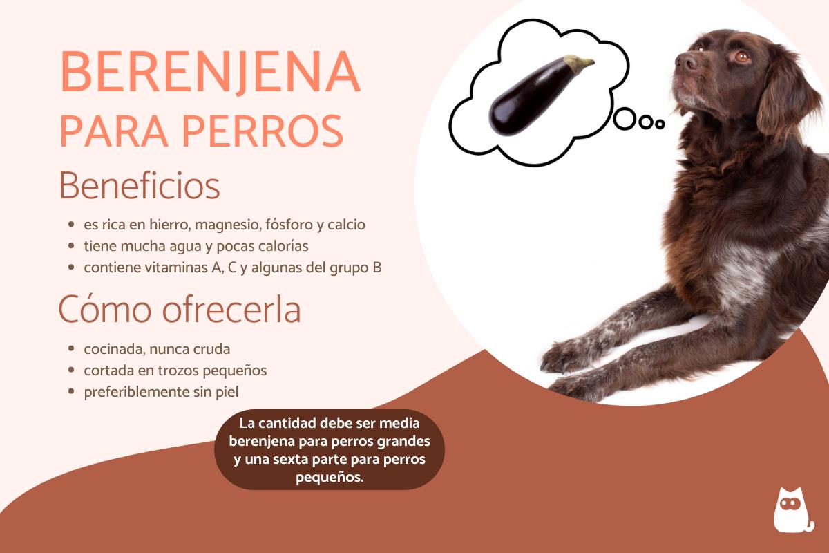 ¿Los perros pueden comer berenjena?