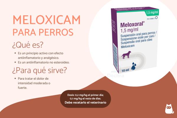 Meloxicam para perros: dosis, usos y efectos secundarios