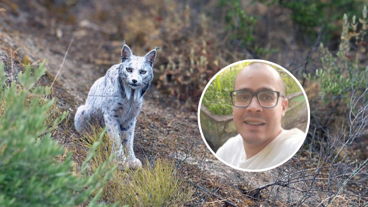 Nick Romero, biólogo y educador ambiental, sobre la existencia de linces blancos en España: "Es un caso raro que confirma que aun hay muchos secretos sobre la fauna española"