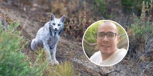 Nick Romero, biólogo y educador ambiental, sobre la existencia de linces blancos en España: "Es un caso raro que confirma que aun hay muchos secretos sobre la fauna española"