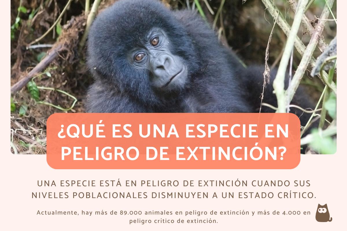 ¿Qué es una especie en peligro de extinción?