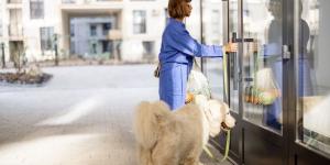 Adiós a esperar en la calle: la ley prohíbe dejar al perro atado solo en la puerta de los comercios (con multas de hasta 10.000 euros)