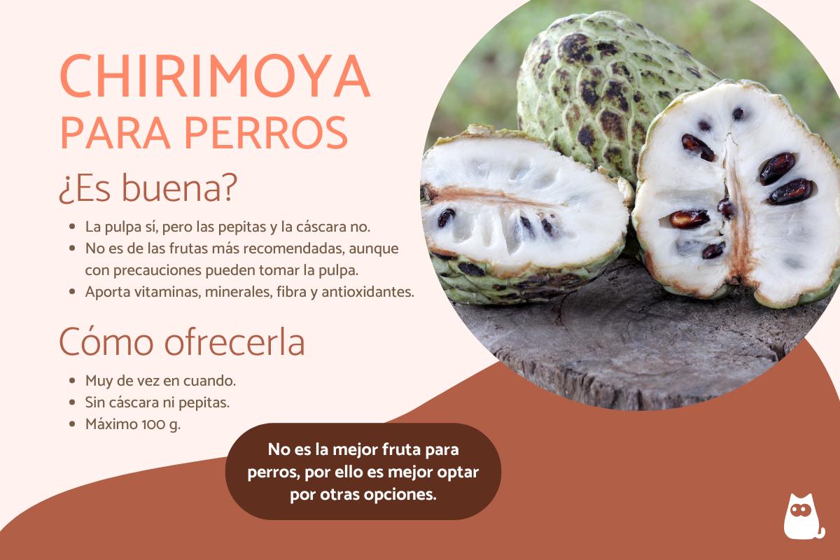 ¿Los perros pueden comer chirimoya?