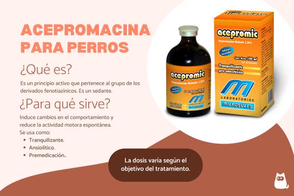 Acepromacina para perros: dosis y efectos secundarios