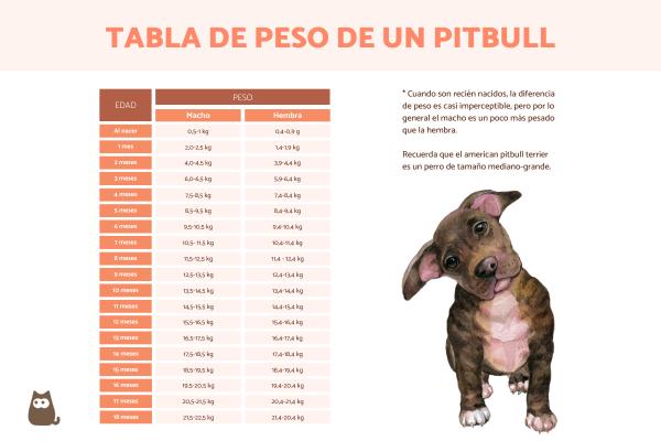 ¿Cuánto pesa un pitbull? - ¿Cuánto pesa un pitbull cachorro?