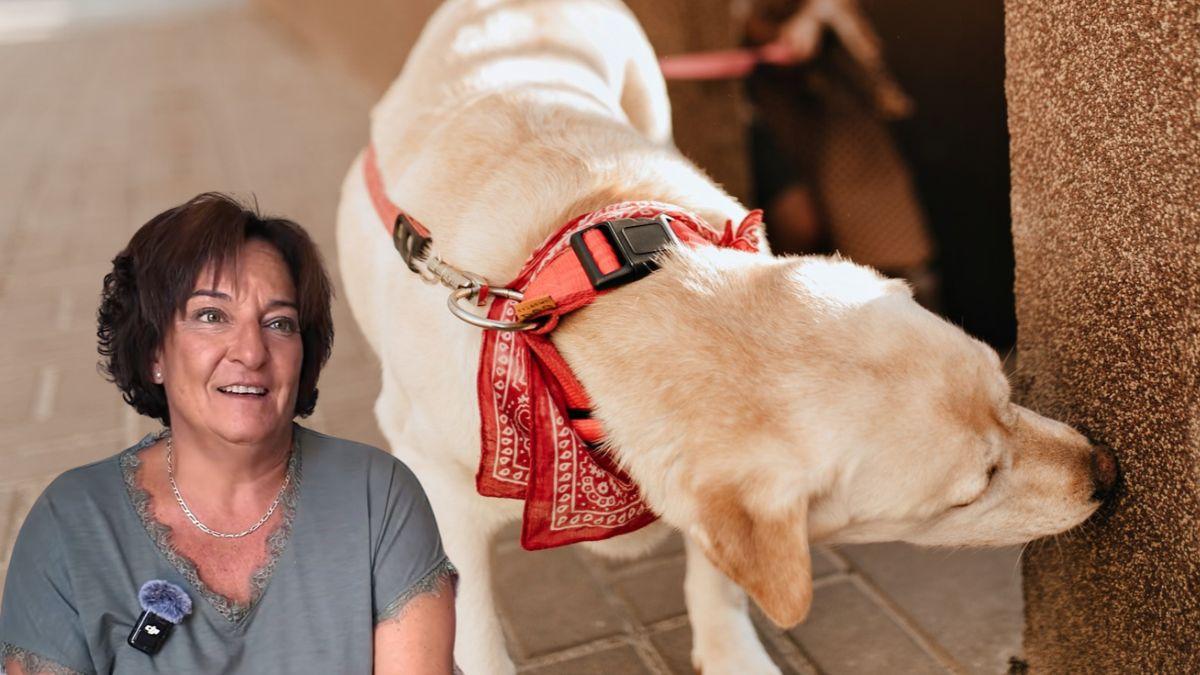 Isabel Jiménez, etóloga: “Cuando tu perro se para a oler una esquina no está perdiendo el tiempo, está leyendo el mundo”