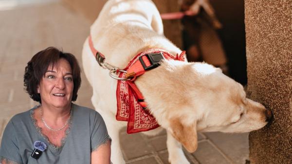 Isabel Jiménez, etóloga: “Cuando tu perro se para a oler una esquina no está perdiendo el tiempo, está leyendo el mundo”