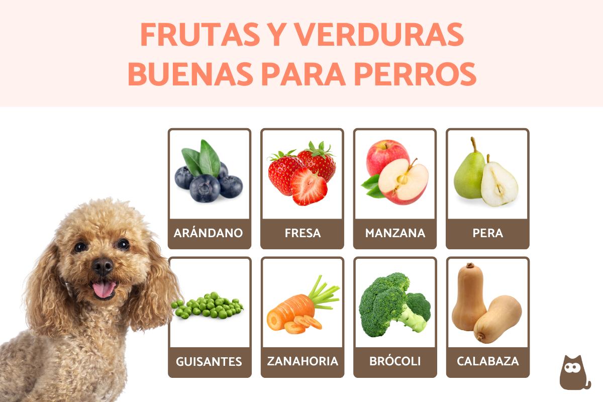 Frutas y verduras recomendadas para perros