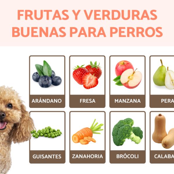 son los encurtidos seguros para que los coma un perro