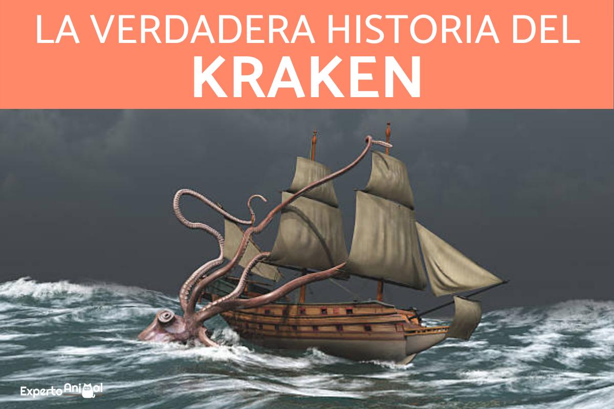 ¿El Kraken existe?