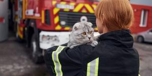 La Ley de Bienestar Animal ya lo exige: los planes de emergencia deben proteger también a las mascotas