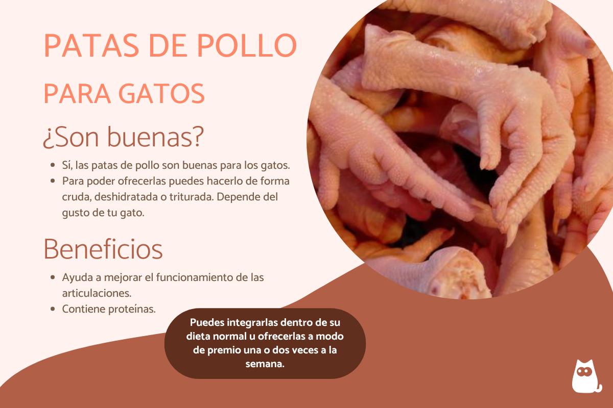 Patas de pollo para gatos, ¿son buenas?