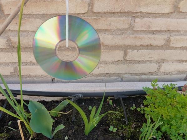 ¿Cómo ahuyentar las palomas? - 2. Repelentes visuales