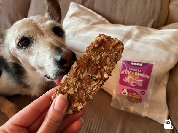 Snacks Naturales Para Perros TIPOS Y BENEFICIOS