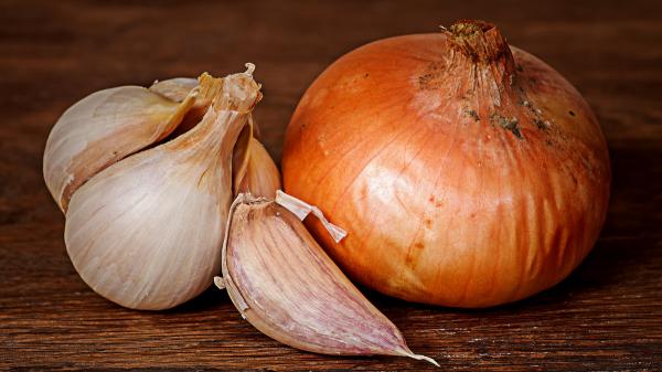 Estos alimentos comunes son peligrosos para los gorriones (y se los podrías estar dando sin saberlo) - Cebolla y ajo: tóxicos par el sistema hematológico de estas aves