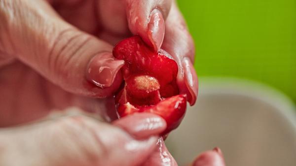 Estos alimentos comunes son peligrosos para los gorriones (y se los podrías estar dando sin saberlo) - Semillas de frutas: el peligro oculto que libera cianuro en el organismo del gorrión