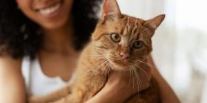 La generación Z prefiere a los gatos: por qué han desplazado a los perros como sus favoritos