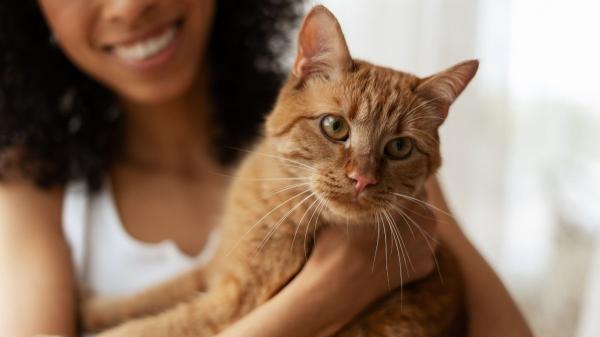 La generación Z prefiere a los gatos: por qué han desplazado a los perros como sus favoritos