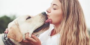 Los educadores caninos coinciden: “Tu perro no te lame solo por cariño, está intentando decirte algo”