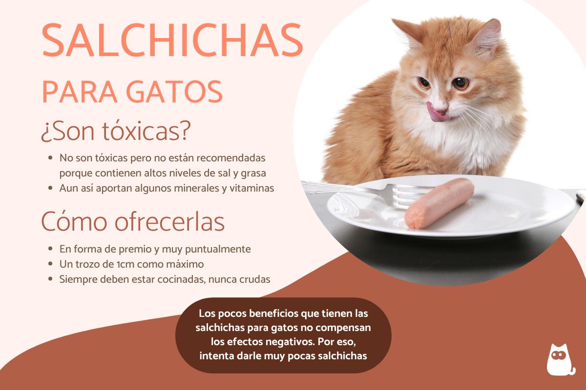 ¿Los gatos pueden comer salchichas?