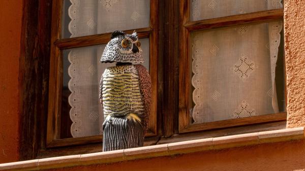 Adiós a los métodos agresivos: evita que los pájaros llenen de excrementos tu balcón o patio sin hacerles daño - Utiliza estos objetos para disuadir a los pájaros y evitar que defequen en tu casa