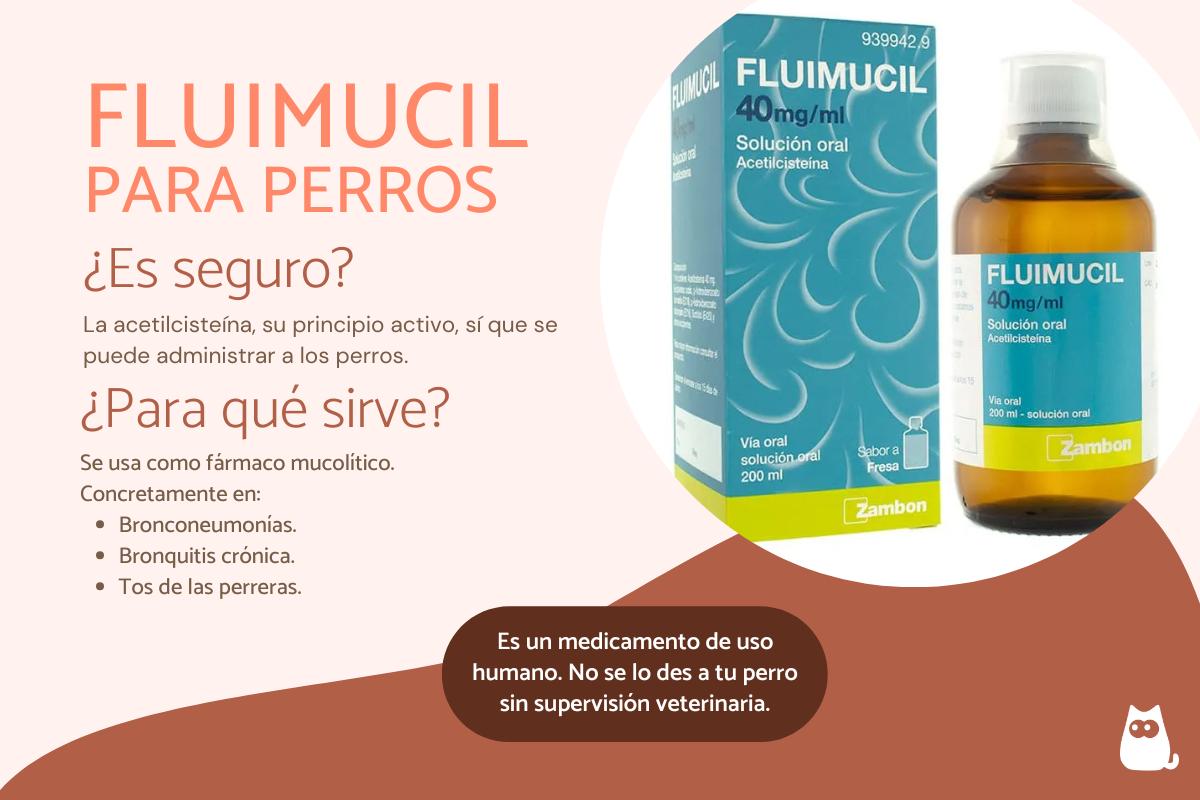 Fluimucil para perros: dosis, usos y efectos secundarios