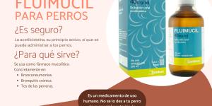 Fluimucil para perros: dosis, usos y efectos secundarios