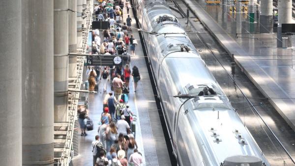 Renfe da un giro a los viajes con mascotas: permitirá llevar perros de hasta 40 kilos en todos sus trenes desde esta fecha - Los perros de hasta 40 kilos ya podrán viajar en estos trenes de Renfe