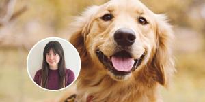 Por qué el Golden Retriever es uno de los perros más felices del mundo, según Marta Sarasúa, etóloga: "Su carácter alegre y sociable lo hace único"