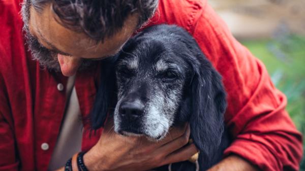 Alfredo Molina, veterinario: “En sus últimos días tu mascota no necesita más tratamientos, te necesita a ti” - Los animales viven el presente, no el futuro ni el pasado