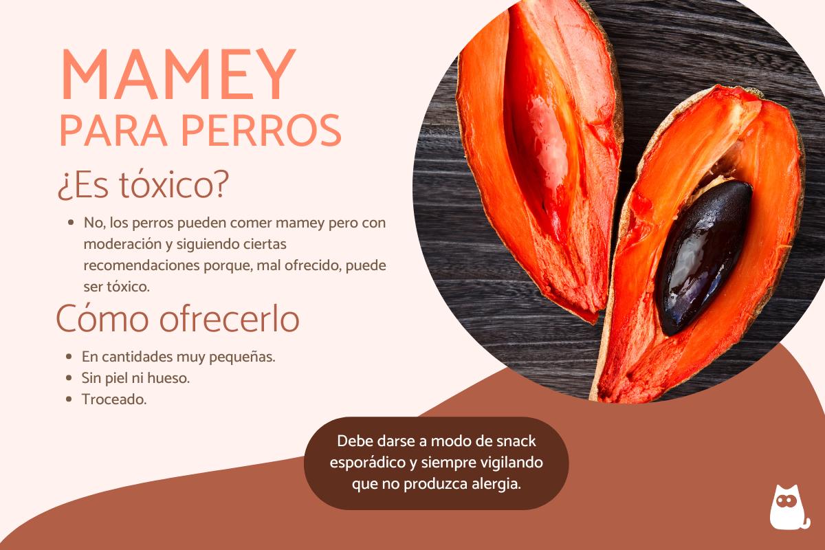 ¿Los perros pueden comer mamey?