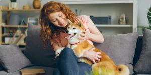La Ley de Propiedad Horizontal lo deja claro: qué ocurre si el perro o el gato de un vecino daña puertas, ascensores o paredes comunes
