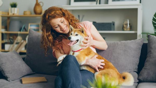 La Ley de Propiedad Horizontal lo deja claro: qué ocurre si el perro o el gato de un vecino daña puertas, ascensores o paredes comunes