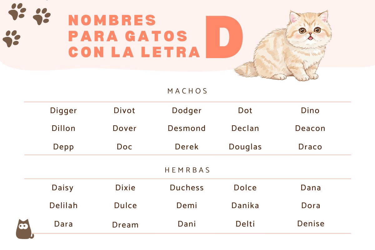 Nombres para gatos con D