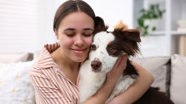 España marca un antes y un después: reconoce por primera vez que los perros y gatos también forman parte de los vínculos más importantes de nuestra vida