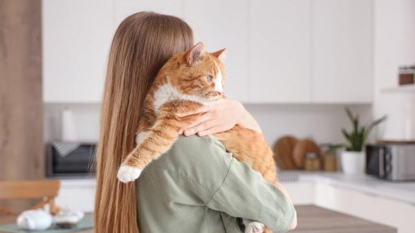 España marca un antes y un después: reconoce por primera vez que los perros y gatos también forman parte de los vínculos más importantes de nuestra vida - Los vínculos con animales de compañía ya forman parte de la estrategia contra la soledad