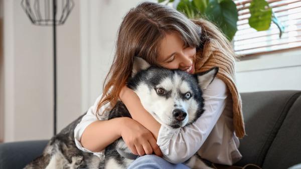 La psicología explica por qué algunas personas prefieren la compañía de su perro o gato a la de otros seres humanos: “El vínculo es mucho más estable” - El apoyo emocional que ofrecen los animales y que no siempre se encuentra en otras personas