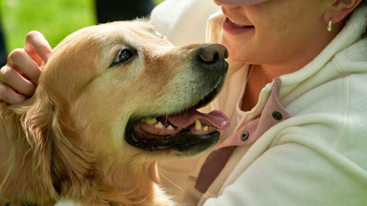 La psicología explica por qué algunas personas prefieren la compañía de su perro o gato a la de otros seres humanos: “El vínculo es mucho más estable”
