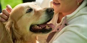 La psicología explica por qué algunas personas prefieren la compañía de su perro o gato a la de otros seres humanos: “El vínculo es mucho más estable”