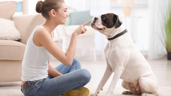 Las personas que hablan con su perro como si fuera humano comparten estos 5 rasgos, según la psicología