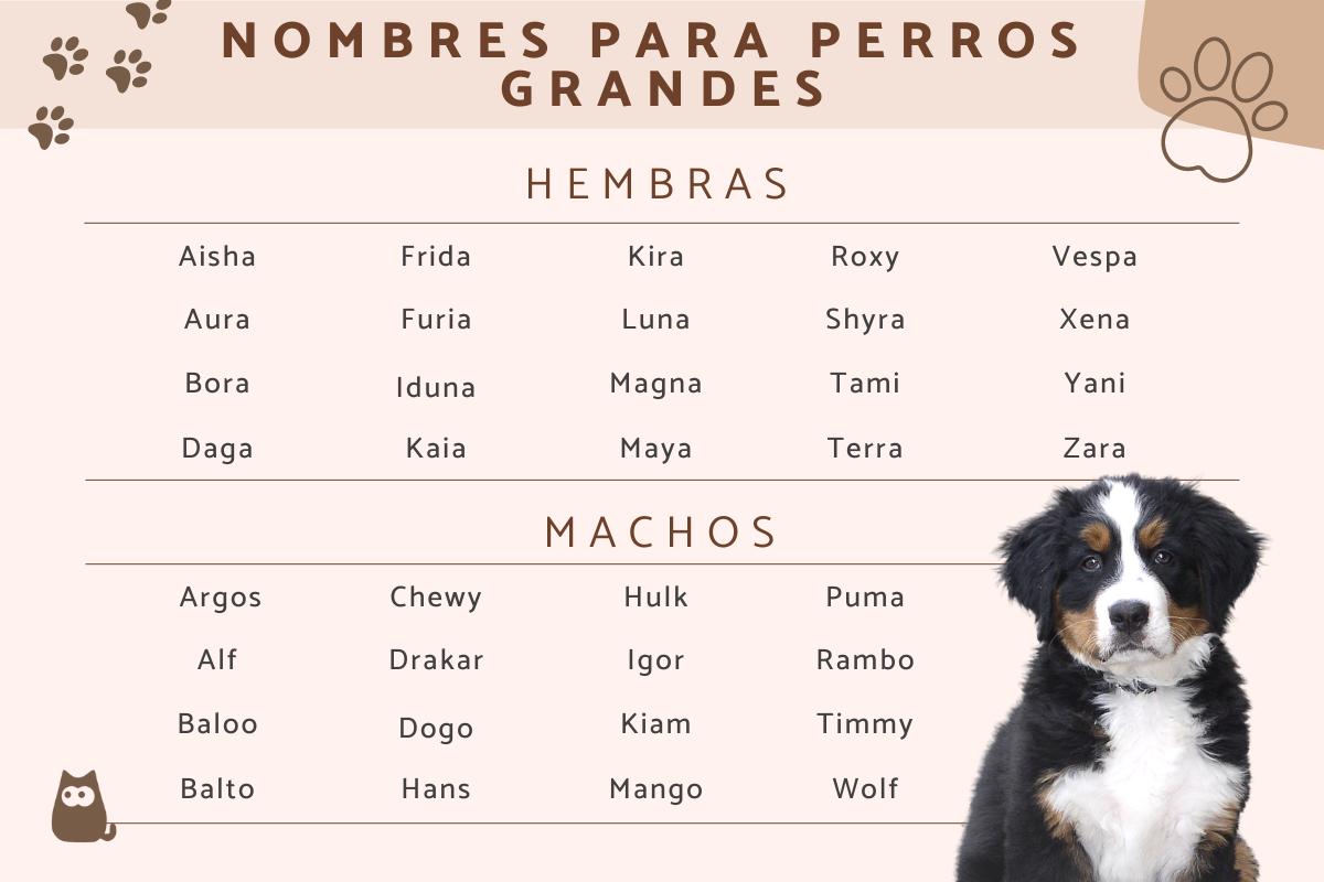 200 Nombres para perros grandes Machos y hembras