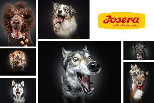 ¡Ladra, por favor! Descubre el arte de fotografiar perros con Christian Vieler para Josera - Josera y Christian Vieler = una historia de amor