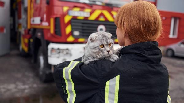Ni dejarla sola ni volver a por ella: cómo actuar si hay un incendio y tienes mascota, según los expertos - Si no estás en casa o tu animal no puede salir contigo, esto es lo que recomiendan los expertos
