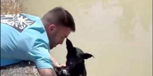 El rescate en Murcia que ha conmovido a España: una perra atada a un ladrillo y su cachorro junto a ella