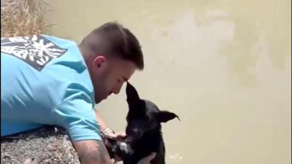 El rescate en Murcia que ha conmovido a España: una perra atada a un ladrillo y su cachorro junto a ella