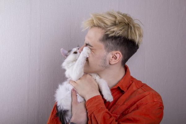 ¿Por qué mi gato me toca la cara con su pata? - ¿Mi gato me toca la cara para que no me acerque?