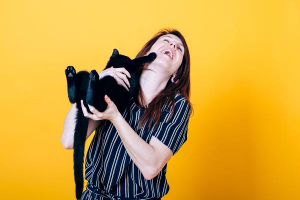 ¿Por qué mi gato me toca la cara con su pata? - ¿Qué hago si mi gato me toca la cara con su pata?